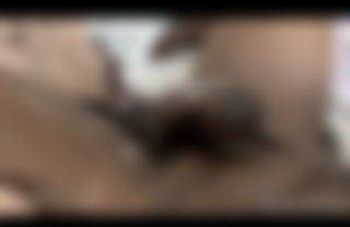 At Home Midday Sucking!! Siren Sucks The Cum Right Out in the Middle of the Day!!